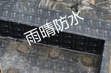 宜昌市三峽大學(xué)附屬仁和醫(yī)院急救感染樓項目